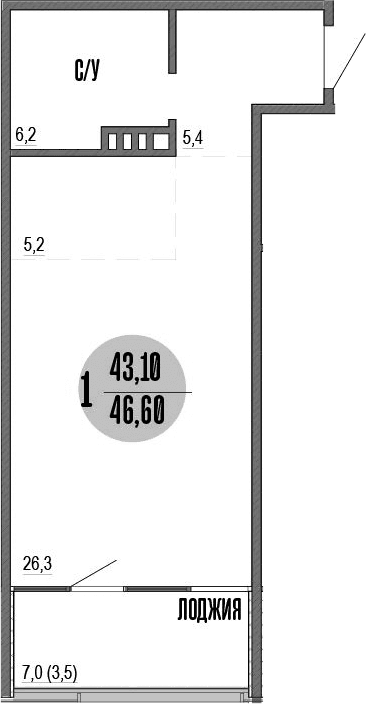 Студия, 43.1 м²