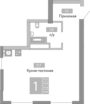 Студия, 31 м²