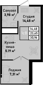 Студия, 23.65 м²