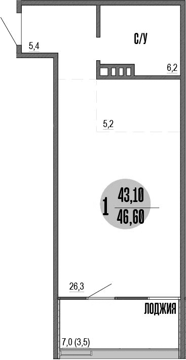 Студия, 43.1 м²
