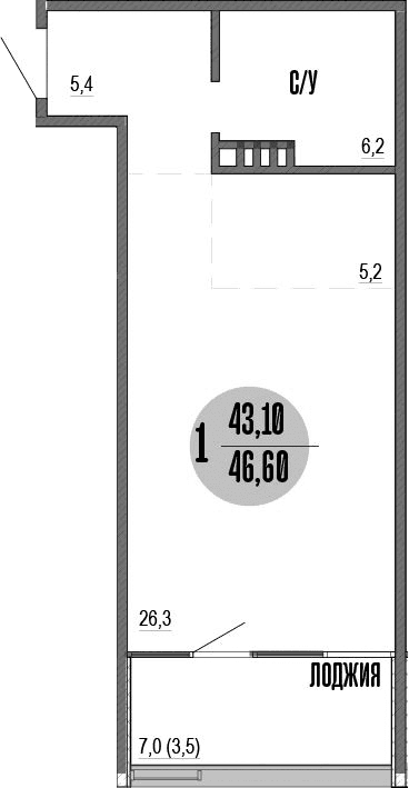 Студия, 43.1 м²